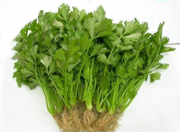 Bảo quản bánh mì qua đêm với rau cầnBảo quản bánh mì qua đêm với rau cần